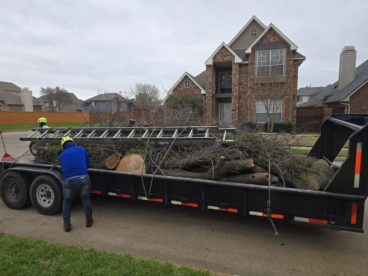 Expert Tree Pest Control with proper safety equipment in Six Mile